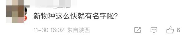 浙江发现全球新物种“瓯江小鳔鮈”！这名字怎么念？