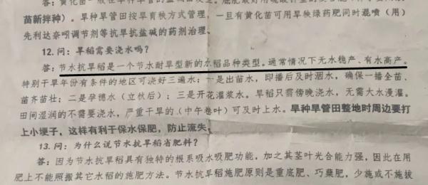 种错？买错？涟水一地数十亩“新品种”稻子颗粒无收