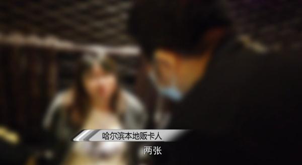 天南地北结伴来到哈尔滨，足不出户，只做一件事！很快，被警察盯上了！