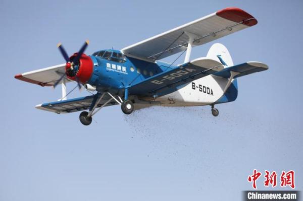 5万亩“树种球”飞播试验造林在塔克拉玛干沙漠边缘实施 5万亩“树种球”飞播试验造林在塔克拉玛干沙漠边缘实施