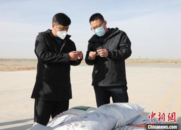 5万亩“树种球”飞播试验造林在塔克拉玛干沙漠边缘实施 5万亩“树种球”飞播试验造林在塔克拉玛干沙漠边缘实施