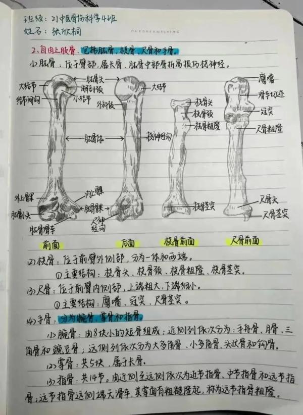 “面对期末高分，学霸解释不清了……”