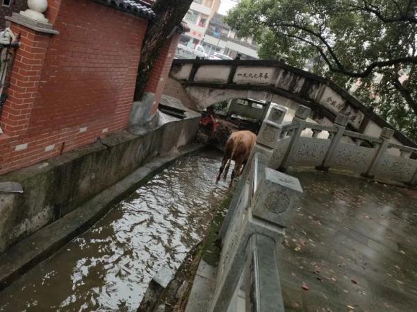 事发浙江！当场击毙