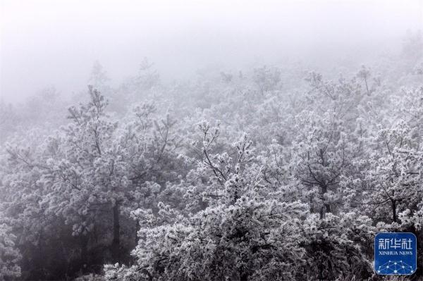 六盘水市梅花山现雾凇景观