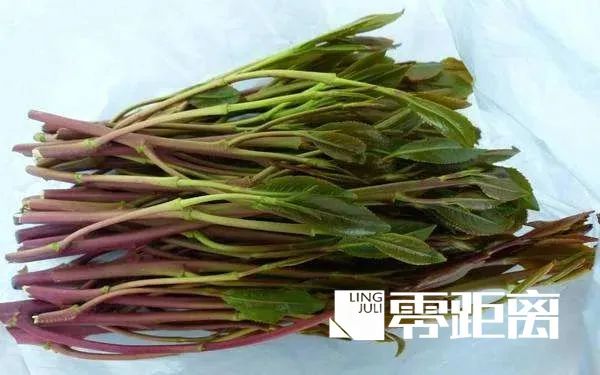 这种“果冻”别碰！它的真面目是毒品！