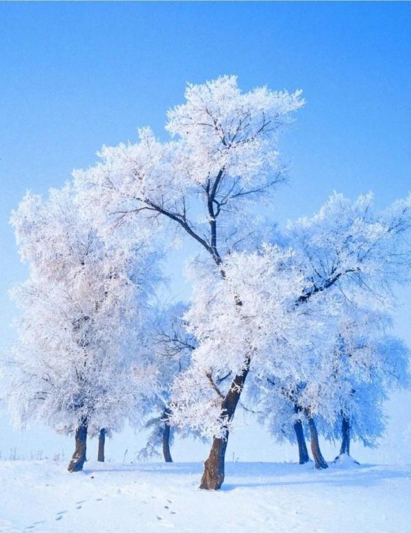 冬天美景 最美图片