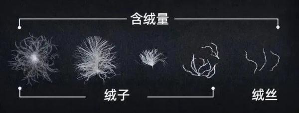 防寒必看!羽绒服和羊绒衫选购指南来了 防寒必看!羽绒服和羊绒衫选购指南来了