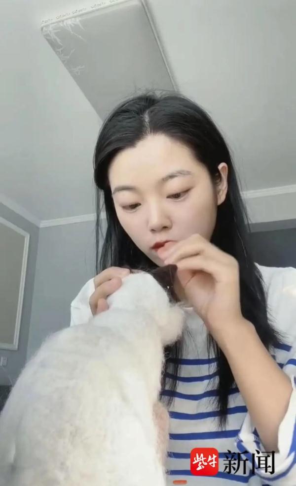 “仿真宠物定制师”火了！徐州女子用羊毛“复活”宠物
