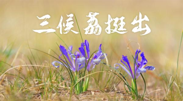 二十四节气之大雪:夜深知雪重,时闻折竹声 二十四节气之大雪:夜深知雪重,时闻折竹声