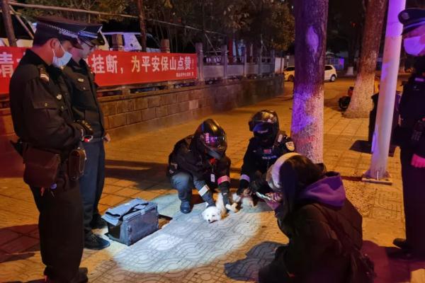 呆萌！闹市惊现受伤白狐……