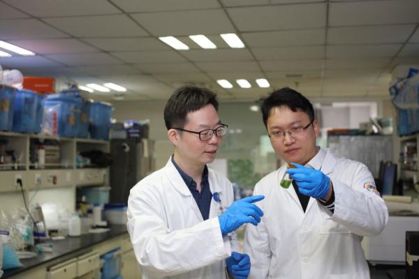 浙大科研团队破解菠菜“能量密码” 成果登上《自然》杂志