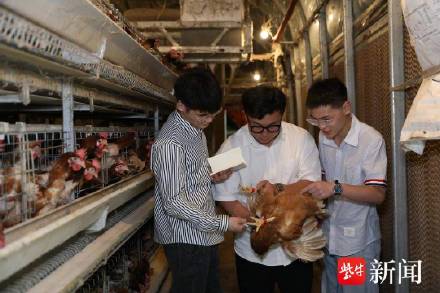 大学生研发酒糟饲料获全国金奖