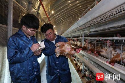 大学生研发酒糟饲料获全国金奖