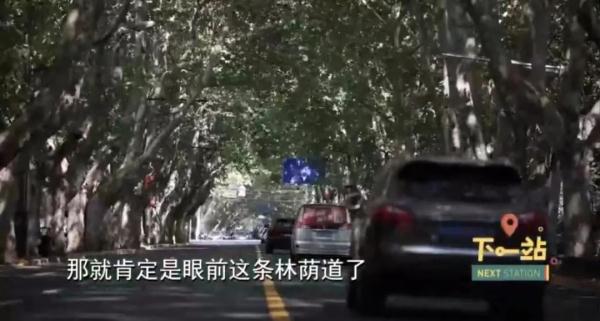 上海人都爱逛！号称“东方香榭丽舍大街”，曾与南京东路齐名...