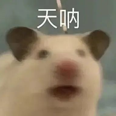 最低跌破6℃,三波冷空气接连“补货”,广东人要“冻到入骨”? 最低跌破6℃,三波冷空气接连“补货”,广东人要“冻到入骨”?