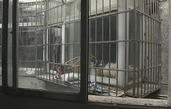 两次拆墙，两次兴师动众，只为救出“汤圆”→