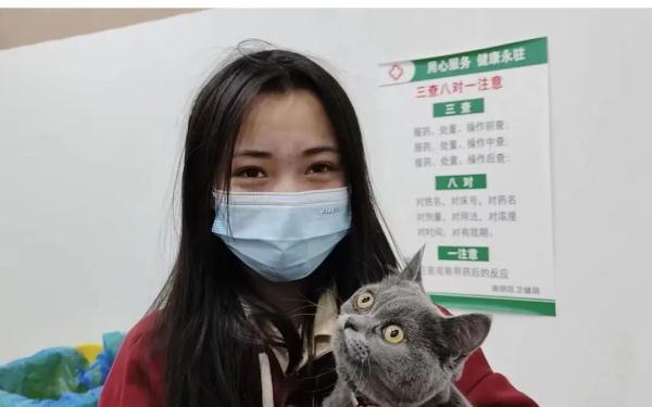 两次拆墙，两次兴师动众，只为救出“汤圆”→