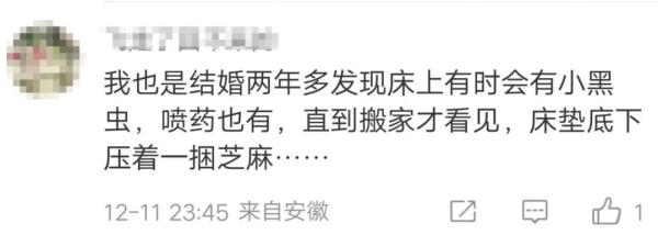 结婚12年才发现被子里有……网友评论亮了