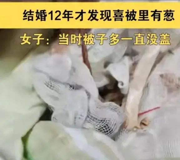 结婚12年才发现被子里有……网友评论亮了