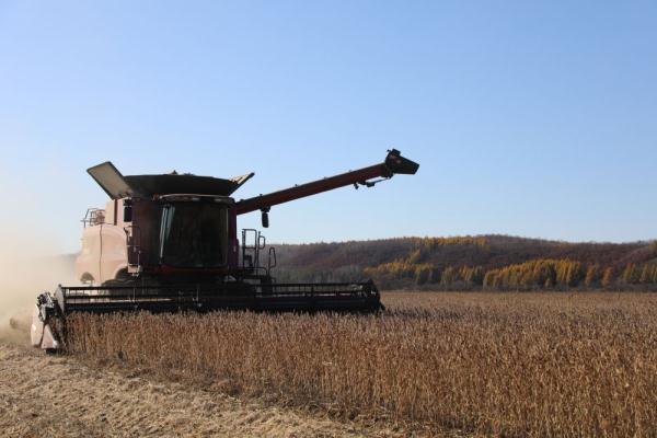 1552.6亿斤！黑龙江粮食总产连续13年全国第一