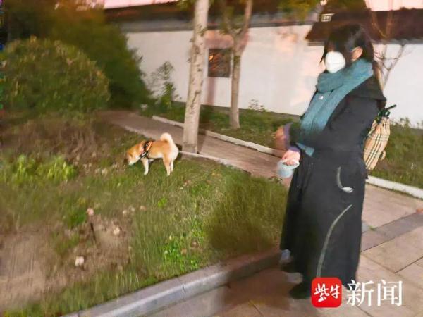 95后姑娘当“遛狗师”，意外走红