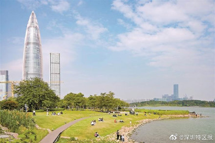 深圳冬日赏花观鸟攻略来了 ！