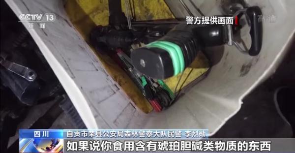 四川警方打掉毒杀、贩卖家犬犯罪团伙 查获"毒狗肉"1600余斤