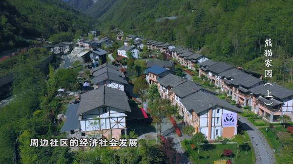 来自800万年前的原始生命遗老——大熊猫