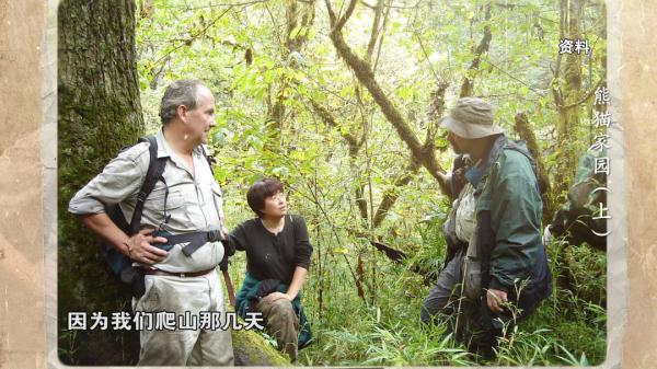来自800万年前的原始生命遗老——大熊猫