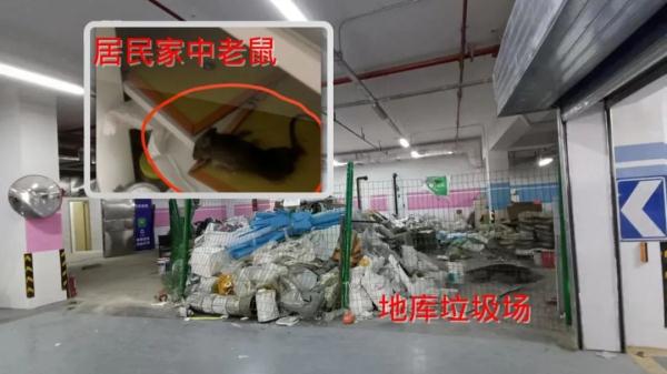 沪一新小区家有老鼠、水有虫卵、电梯急坠、空调不灵，糟心事不断业主如何生活？