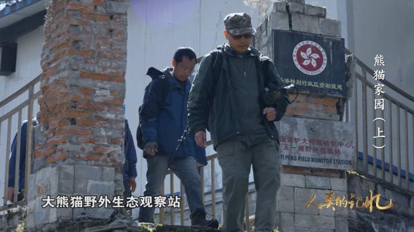 来自800万年前的原始生命遗老——大熊猫
