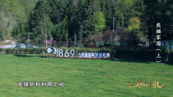 来自800万年前的原始生命遗老——大熊猫