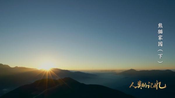 为了大熊猫，他们有多努力？