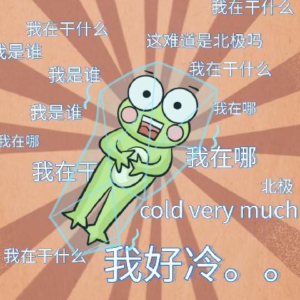 寒潮警报！海宁将迎来强降温、大风……