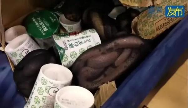 上海浦东机场入境行李被加海关锁？箱内简直离谱