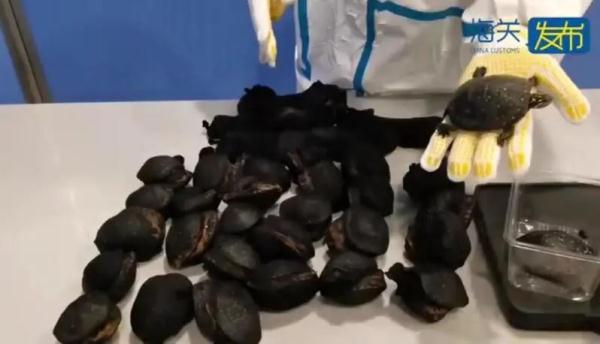 上海浦东机场入境行李被加海关锁？箱内简直离谱