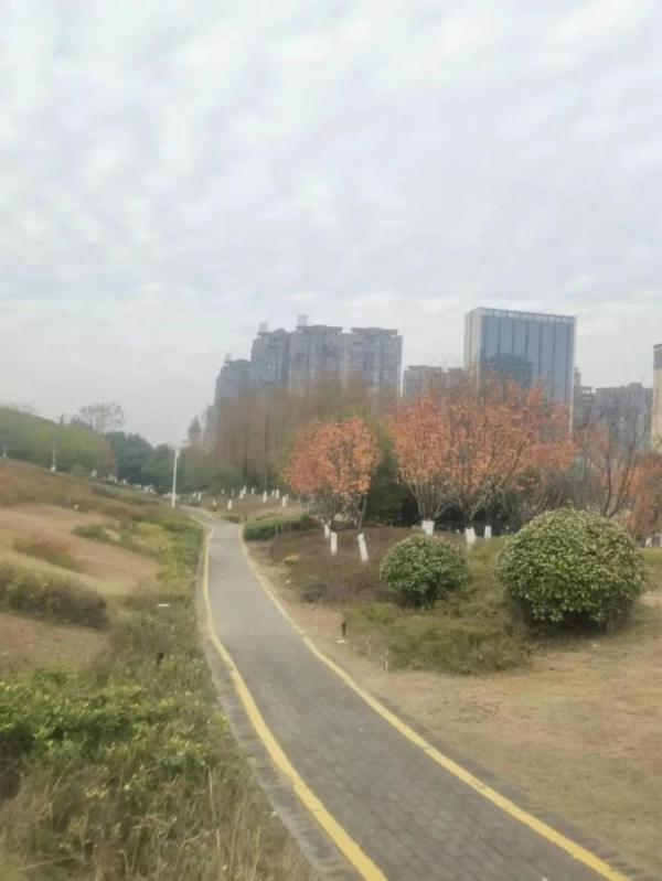 紧急寻人！抑郁症妻子失联，丈夫悬赏10万寻妻