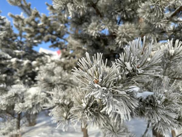 冷到“冒烟”！呼伦贝尔多地出现零下40℃的极寒天气
