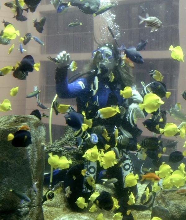 世界最大独立圆柱体水族馆爆裂：百万升水倾泄 1500条鱼被冲上街头