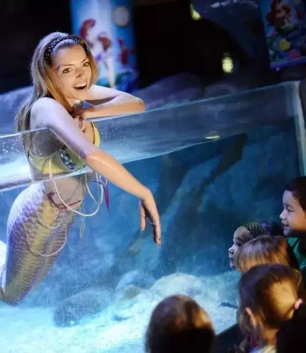 世界最大独立圆柱体水族馆爆裂：百万升水倾泄 1500条鱼被冲上街头