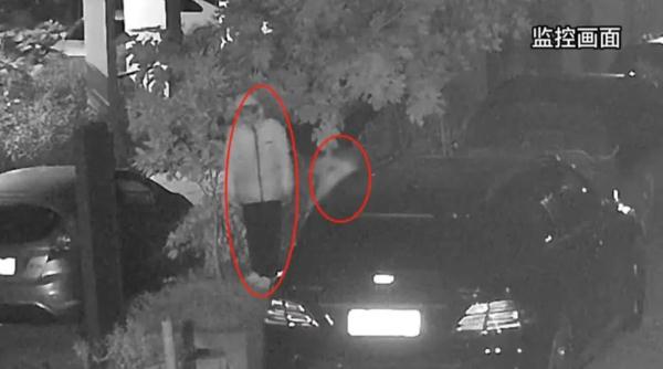 看见有人砸车偷东西，71岁大爷果断报警！