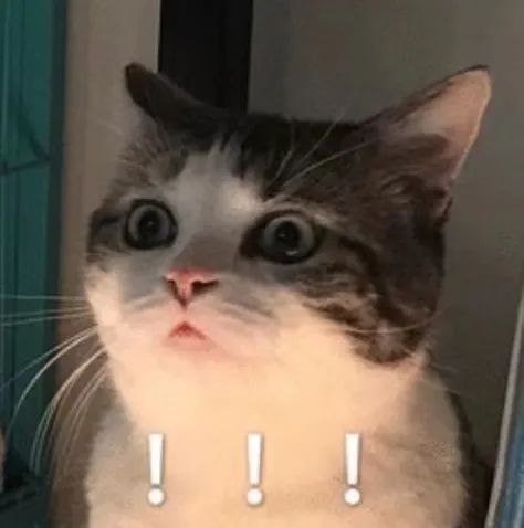 隐形衣、转弯火箭、大豆冰淇淋……还有什么是大学生做不到的? 隐形衣、转弯火箭、大豆冰淇淋……还有什么是大学生做不到的?