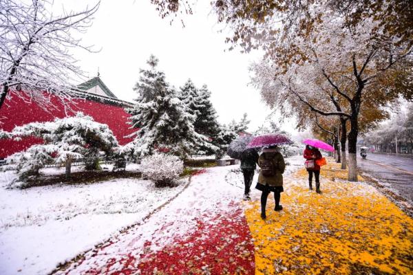 寒潮！降雪！沈阳启动城市除雪预警！辽宁局地-30℃！