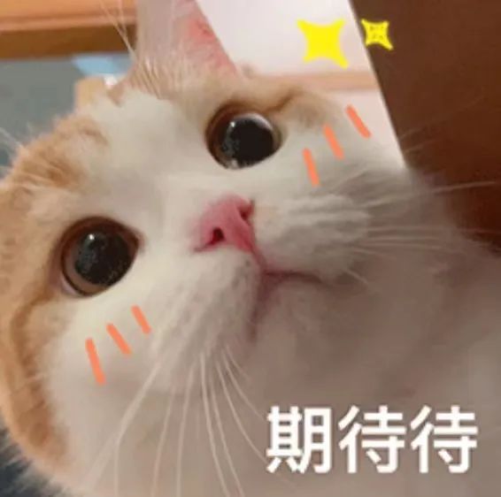 隐形衣、转弯火箭、大豆冰淇淋……还有什么是大学生做不到的? 隐形衣、转弯火箭、大豆冰淇淋……还有什么是大学生做不到的?