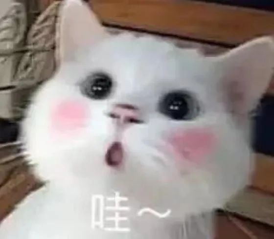 隐形衣、转弯火箭、大豆冰淇淋……还有什么是大学生做不到的? 隐形衣、转弯火箭、大豆冰淇淋……还有什么是大学生做不到的?