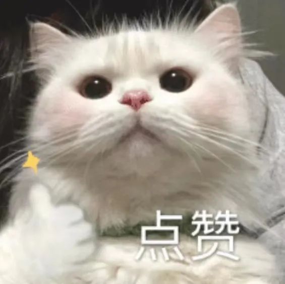 隐形衣、转弯火箭、大豆冰淇淋……还有什么是大学生做不到的? 隐形衣、转弯火箭、大豆冰淇淋……还有什么是大学生做不到的?