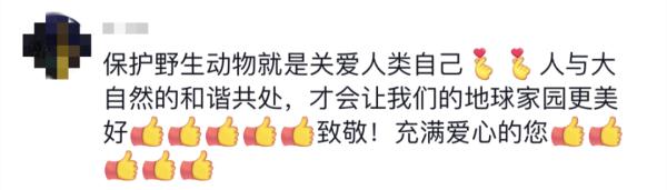 野生麋鹿被困滩涂，他的做法让网友狂赞！