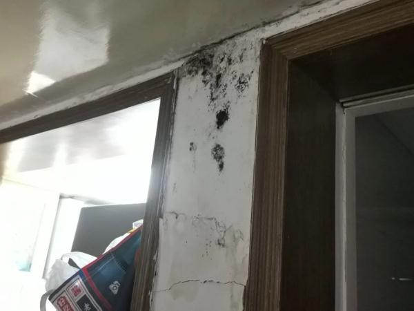 屋里反水反粪，头顶漏屎漏尿！宾馆商铺凶猛排污，居民愁到去看精神科→