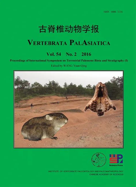 世界上最早的兔子长啥样 世界上最早的兔子长啥样