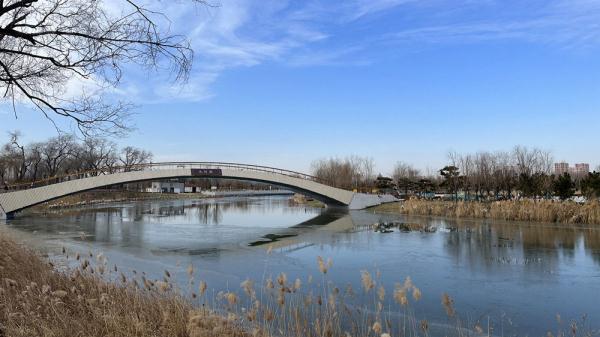 河北沧州运河区:运河穿城过 冬景美如画